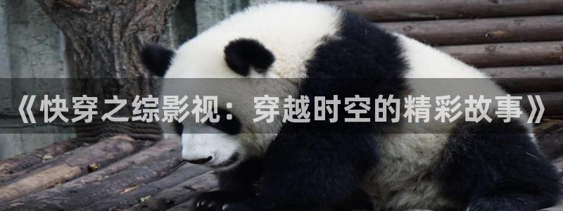 久久亚洲精品影院