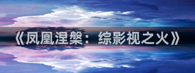 91精品久久久久久免费电影院