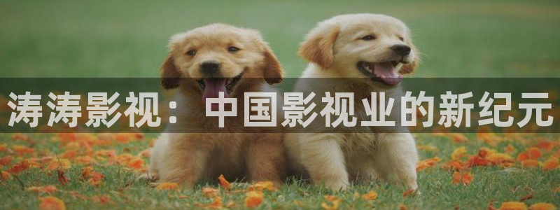 精品久久久影院