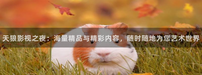 久久久久久久久影院