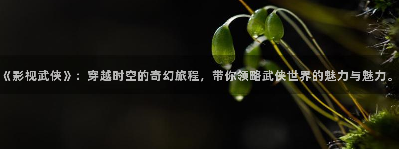 久久亚洲在线影院